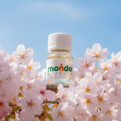 Parfum Fleur de Cerisier pour Bougies