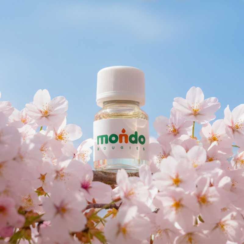 Parfum Fleur de Cerisier Bougies - MONDO BOUGIES