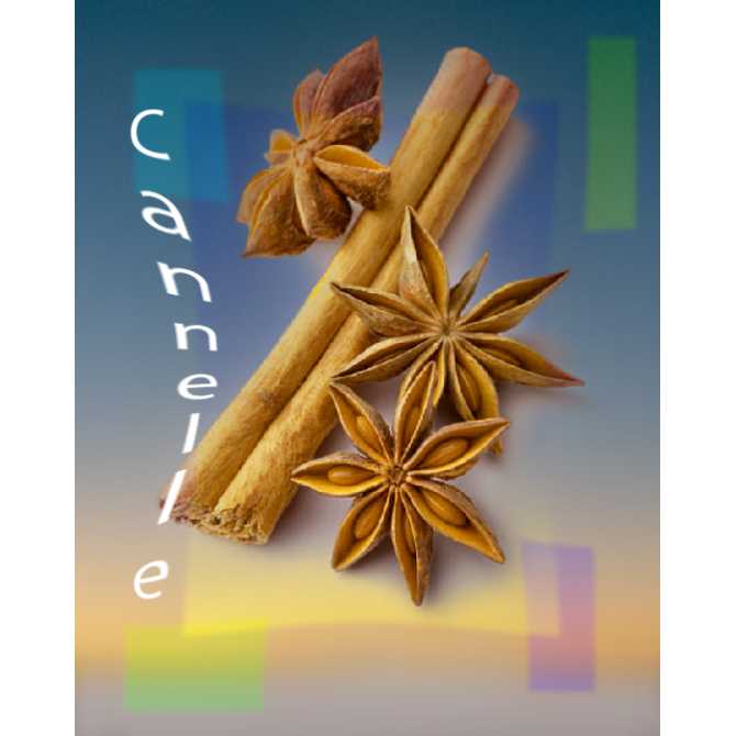 Parfum Cannelle Bougies - MONDO BOUGIES